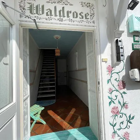 Waldrose