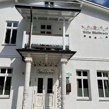 Waldrose Binz