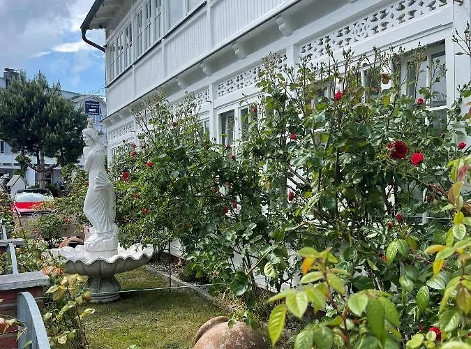 Waldrose * Binz