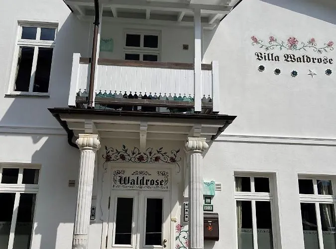 Waldrose Binz
